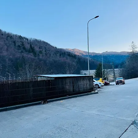 Lägenhet Joy Tampa 6