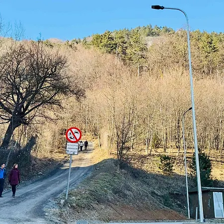 Joy Tampa 6 Appartamento