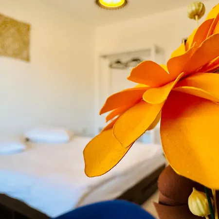 Joy Tampa 6 * Braşov