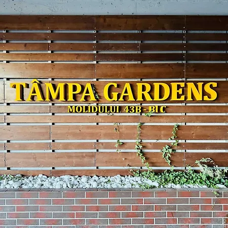 Joy Tampa 6 * Braşov