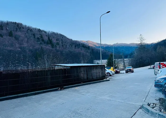 Lägenhet Joy Tampa 6