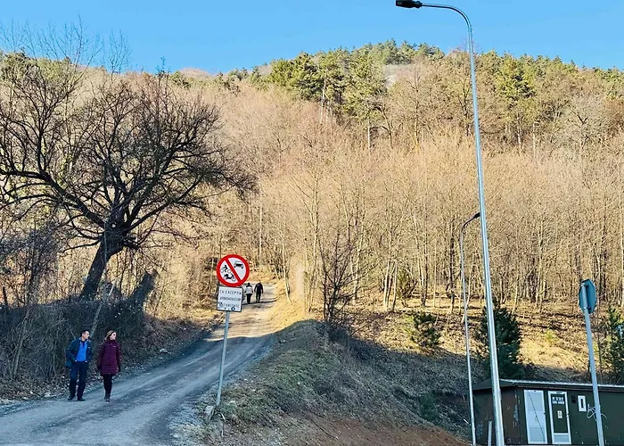 Joy Tampa 6 Lägenhet