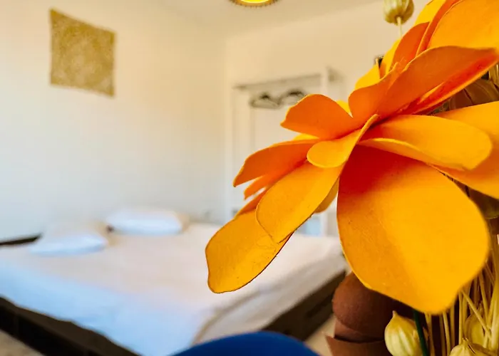 Joy Tampa 6 * Braşov