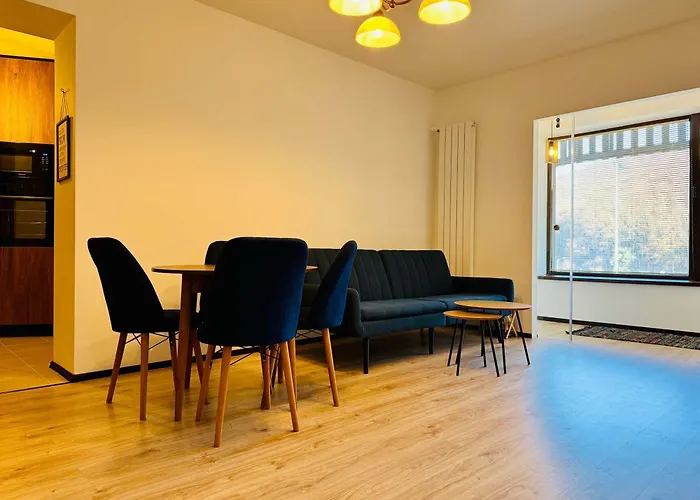 Joy Tampa 6 * Brasov