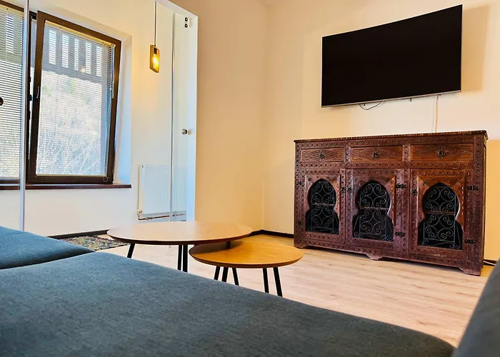 Joy Tampa 6 * Brasov