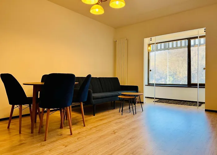 Apartment Joy Tampa 6