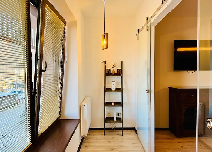 Joy Tampa 6 * Brasov