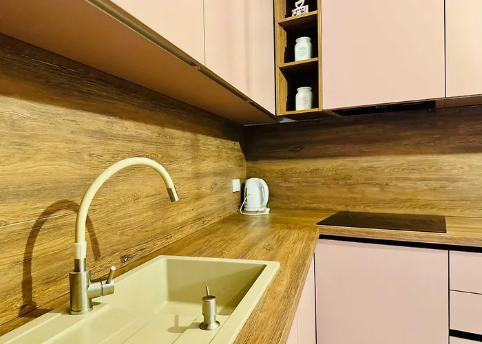 Apartment Joy Tampa 6