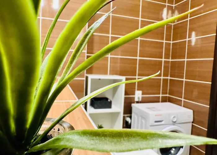 Apartment Joy Tampa 6