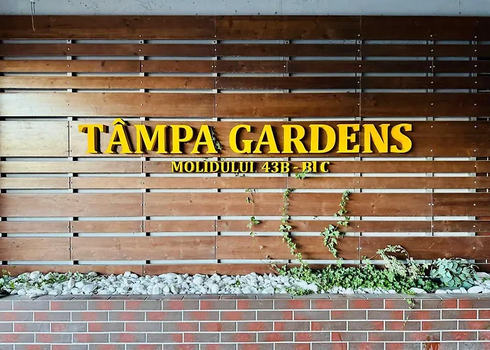 Joy Tampa 6 * Brasov